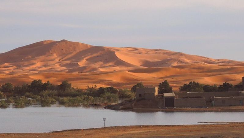 Sahara Odyssey: Cycle Through Vast Dunes & Ancient Kasbahs ️