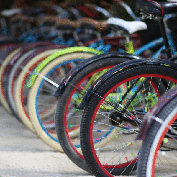 8 Days Draa Valley on the Bikes From Marrakech