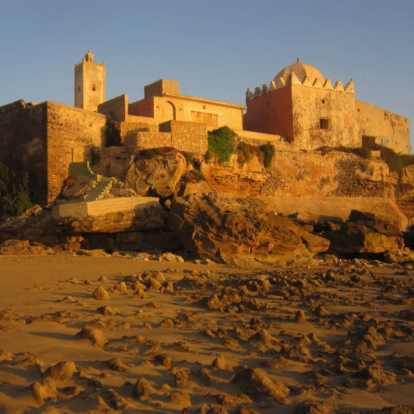 Sahara tours - 2025-07-28T173334.594