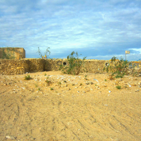 Sahara tours - 2025-07-28T173441.627