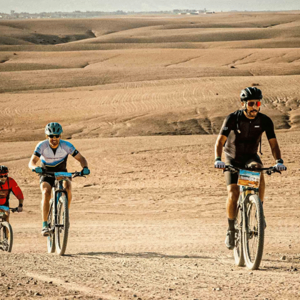 Sahara tours - 2025-07-29T114704.263