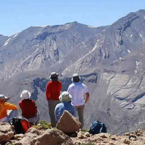 Sahara tours - 2025-07-29T121207.372