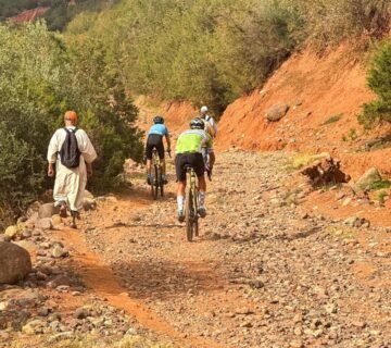 Mountain Bike Holiday