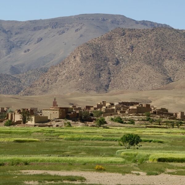 🚴_♂️ 7-Day Gravel Bike Adventure in Morocco 🚴_♀️🌍 Ride through breathtaking landscapes, from (7)