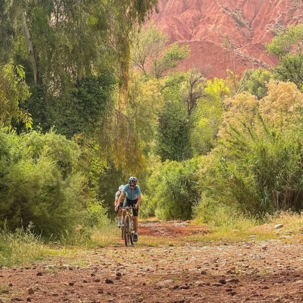 🚴_♂️ Battle-Tested. Adventure-Approved.Our new Pearl Bikes took on the unforgiving Sahara dunes (11)
