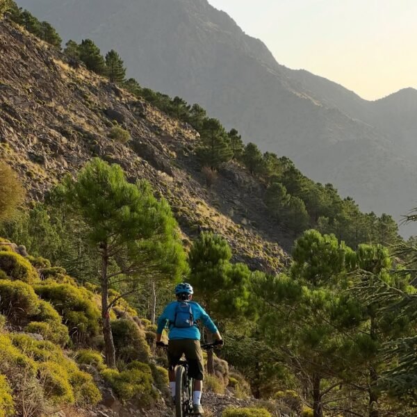 🚵_♂️ Explore the Trails of Toubkal National ParkRide through the heart of the High Atlas Mounta