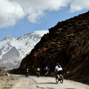 Bikes mountain biking