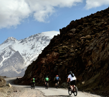 Bikes mountain biking