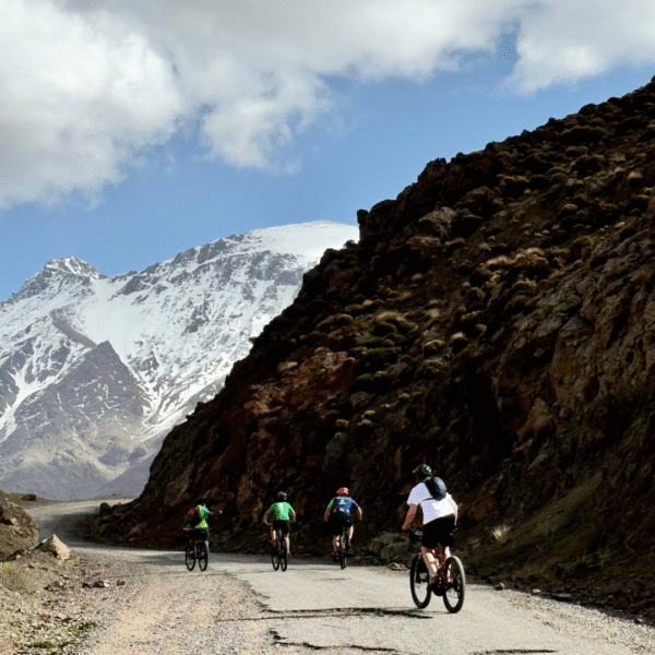 Bikes mountain biking