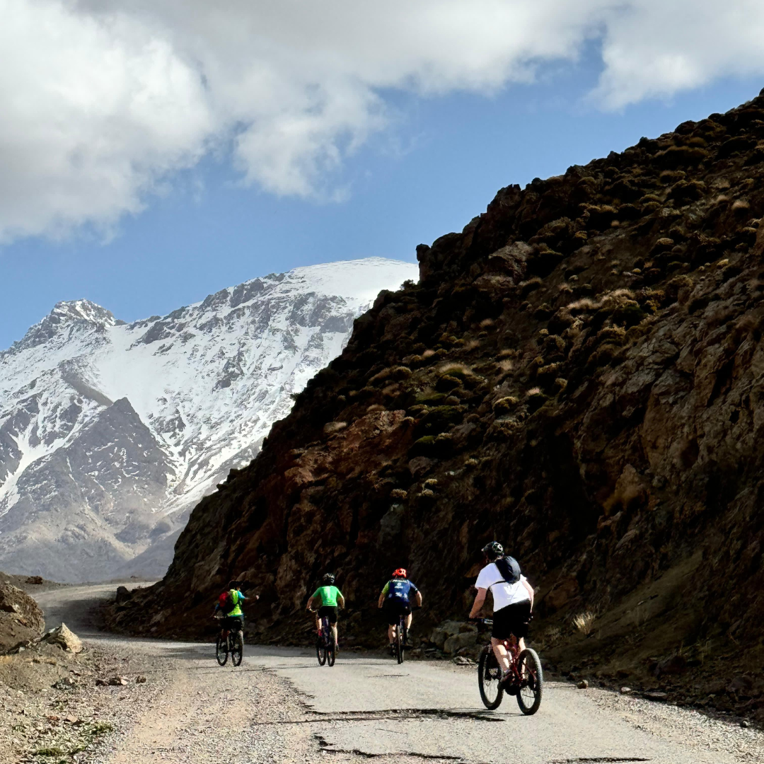 Bikes mountain biking